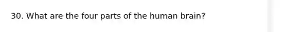 30. What are the four parts of the human brain?