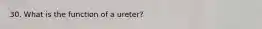 30. What is the function of a ureter?