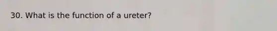 30. What is the function of a ureter?