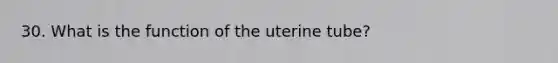 30. What is the function of the uterine tube?