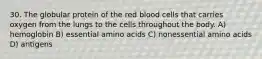 30. The globular protein of the red blood cells that carries oxygen from the lungs to the cells throughout the body. A) hemoglobin B) essential amino acids C) nonessential amino acids D) antigens