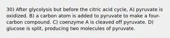 30) After glycolysis but before the citric acid cycle, A) pyruvate is oxidized. B) a carbon atom is added to pyruvate to make a four-carbon compound. C) coenzyme A is cleaved off pyruvate. D) glucose is split, producing two molecules of pyruvate.