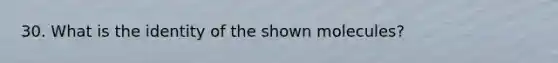 30. What is the identity of the shown molecules?