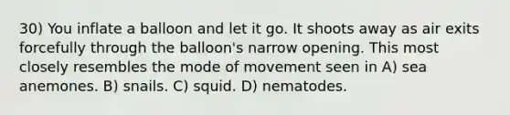 30) You inflate a balloon and let it go. It shoots away as air exits forcefully through the balloon's narrow opening. This most closely resembles the mode of movement seen in A) sea anemones. B) snails. C) squid. D) nematodes.