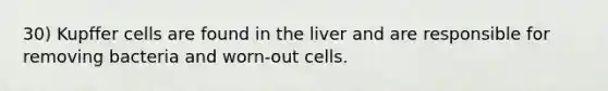 30) Kupffer cells are found in the liver and are responsible for removing bacteria and worn-out cells.