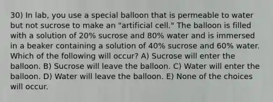 30) In lab, you use a special balloon that is permeable to water but not sucrose to make an "artificial cell." The balloon is filled with a solution of 20% sucrose and 80% water and is immersed in a beaker containing a solution of 40% sucrose and 60% water. Which of the following will occur? A) Sucrose will enter the balloon. B) Sucrose will leave the balloon. C) Water will enter the balloon. D) Water will leave the balloon. E) None of the choices will occur.