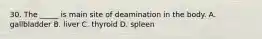 30. The _____ is main site of deamination in the body. A. gallbladder B. liver C. thyroid D. spleen