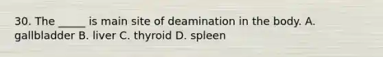 30. The _____ is main site of deamination in the body. A. gallbladder B. liver C. thyroid D. spleen