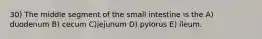 30) The middle segment of the small intestine is the A) duodenum B) cecum C)jejunum D) pylorus E) ileum.