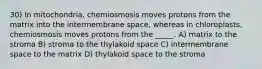 30) In mitochondria, chemiosmosis moves protons from the matrix into the intermembrane space, whereas in chloroplasts, chemiosmosis moves protons from the _____. A) matrix to the stroma B) stroma to the thylakoid space C) intermembrane space to the matrix D) thylakoid space to the stroma