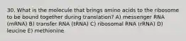 30. What is the molecule that brings amino acids to the ribosome to be bound together during translation? A) messenger RNA (mRNA) B) transfer RNA (tRNA) C) ribosomal RNA (rRNA) D) leucine E) methionine