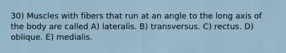 30) Muscles with fibers that run at an angle to the long axis of the body are called A) lateralis. B) transversus. C) rectus. D) oblique. E) medialis.