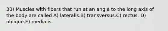 30) Muscles with fibers that run at an angle to the long axis of the body are called A) lateralis.B) transversus.C) rectus. D) oblique.E) medialis.