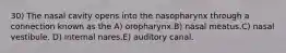 30) The nasal cavity opens into the nasopharynx through a connection known as the A) oropharynx.B) nasal meatus.C) nasal vestibule. D) internal nares.E) auditory canal.