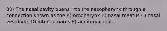 30) The nasal cavity opens into the nasopharynx through a connection known as the A) oropharynx.B) nasal meatus.C) nasal vestibule. D) internal nares.E) auditory canal.