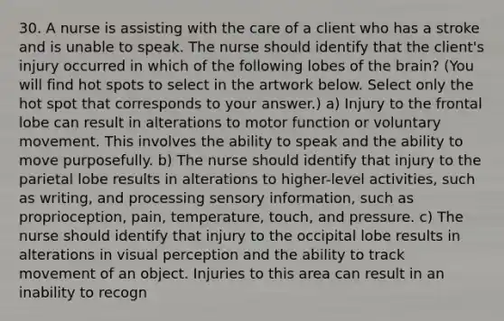 30. A nurse is assisting with the care of a client who has a stroke and is unable to speak. The nurse should identify that the client's injury occurred in which of the following lobes of the brain? (You will find hot spots to select in the artwork below. Select only the hot spot that corresponds to your answer.) a) Injury to the frontal lobe can result in alterations to motor function or voluntary movement. This involves the ability to speak and the ability to move purposefully. b) The nurse should identify that injury to the parietal lobe results in alterations to higher-level activities, such as writing, and processing sensory information, such as proprioception, pain, temperature, touch, and pressure. c) The nurse should identify that injury to the occipital lobe results in alterations in visual perception and the ability to track movement of an object. Injuries to this area can result in an inability to recogn