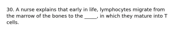 30. A nurse explains that early in life, lymphocytes migrate from the marrow of the bones to the _____, in which they mature into T cells.
