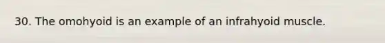 30. The omohyoid is an example of an infrahyoid muscle.