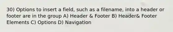 30) Options to insert a field, such as a filename, into a header or footer are in the group A) Header & Footer B) Header& Footer Elements C) Options D) Navigation