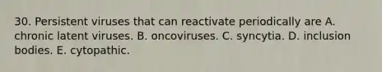 30. Persistent viruses that can reactivate periodically are A. chronic latent viruses. B. oncoviruses. C. syncytia. D. inclusion bodies. E. cytopathic.