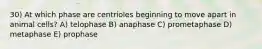 30) At which phase are centrioles beginning to move apart in animal cells? A) telophase B) anaphase C) prometaphase D) metaphase E) prophase