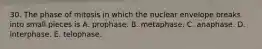 30. The phase of mitosis in which the nuclear envelope breaks into small pieces is A. prophase. B. metaphase. C. anaphase. D. interphase. E. telophase.