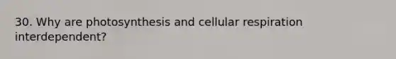 30. Why are photosynthesis and <a href='https://www.questionai.com/knowledge/k1IqNYBAJw-cellular-respiration' class='anchor-knowledge'>cellular respiration</a> interdependent?