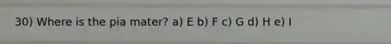 30) Where is the pia mater? a) E b) F c) G d) H e) I