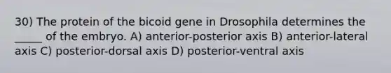 30) The protein of the bicoid gene in Drosophila determines the _____ of the embryo. A) anterior-posterior axis B) anterior-lateral axis C) posterior-dorsal axis D) posterior-ventral axis