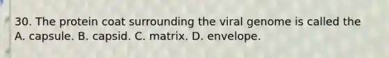 30. The protein coat surrounding the viral genome is called the A. capsule. B. capsid. C. matrix. D. envelope.