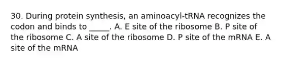 30. During protein synthesis, an aminoacyl-tRNA recognizes the codon and binds to _____. A. E site of the ribosome B. P site of the ribosome C. A site of the ribosome D. P site of the mRNA E. A site of the mRNA