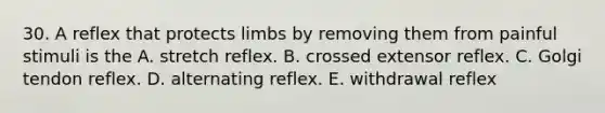 30. A reflex that protects limbs by removing them from painful stimuli is the A. stretch reflex. B. crossed extensor reflex. C. Golgi tendon reflex. D. alternating reflex. E. withdrawal reflex