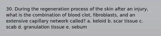 30. During the regeneration process of the skin after an injury, what is the combination of blood clot, fibroblasts, and an extensive capillary network called? a. keloid b. scar tissue c. scab d. granulation tissue e. sebum