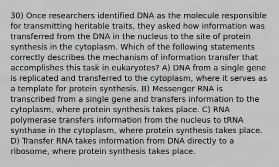 30) Once researchers identified DNA as the molecule responsible for transmitting heritable traits, they asked how information was transferred from the DNA in the nucleus to the site of <a href='https://www.questionai.com/knowledge/kVyphSdCnD-protein-synthesis' class='anchor-knowledge'>protein synthesis</a> in the cytoplasm. Which of the following statements correctly describes the mechanism of information transfer that accomplishes this task in eukaryotes? A) DNA from a single gene is replicated and transferred to the cytoplasm, where it serves as a template for protein synthesis. B) <a href='https://www.questionai.com/knowledge/kDttgcz0ig-messenger-rna' class='anchor-knowledge'>messenger rna</a> is transcribed from a single gene and transfers information to the cytoplasm, where protein synthesis takes place. C) RNA polymerase transfers information from the nucleus to tRNA synthase in the cytoplasm, where protein synthesis takes place. D) <a href='https://www.questionai.com/knowledge/kYREgpZMtc-transfer-rna' class='anchor-knowledge'>transfer rna</a> takes information from DNA directly to a ribosome, where protein synthesis takes place.