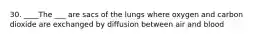 30. ____The ___ are sacs of the lungs where oxygen and carbon dioxide are exchanged by diffusion between air and blood