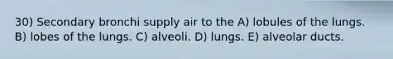 30) Secondary bronchi supply air to the A) lobules of the lungs. B) lobes of the lungs. C) alveoli. D) lungs. E) alveolar ducts.