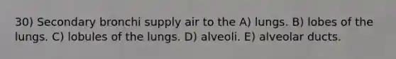 30) Secondary bronchi supply air to the A) lungs. B) lobes of the lungs. C) lobules of the lungs. D) alveoli. E) alveolar ducts.