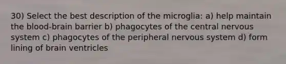 30) Select the best description of the microglia: a) help maintain <a href='https://www.questionai.com/knowledge/kO1rMGD7bv-the-blood-brain-barrier' class='anchor-knowledge'>the blood-brain barrier</a> b) phagocytes of the central <a href='https://www.questionai.com/knowledge/kThdVqrsqy-nervous-system' class='anchor-knowledge'>nervous system</a> c) phagocytes of the peripheral nervous system d) form lining of brain ventricles