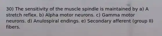 30) The sensitivity of the muscle spindle is maintained by a) A stretch reflex. b) Alpha motor neurons. c) Gamma motor neurons. d) Anulospiral endings. e) Secondary afferent (group II) fibers.