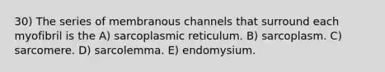 30) The series of membranous channels that surround each myofibril is the A) sarcoplasmic reticulum. B) sarcoplasm. C) sarcomere. D) sarcolemma. E) endomysium.