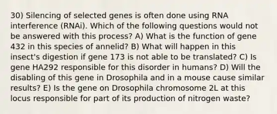 30) Silencing of selected genes is often done using RNA interference (RNAi). Which of the following questions would not be answered with this process? A) What is the function of gene 432 in this species of annelid? B) What will happen in this insect's digestion if gene 173 is not able to be translated? C) Is gene HA292 responsible for this disorder in humans? D) Will the disabling of this gene in Drosophila and in a mouse cause similar results? E) Is the gene on Drosophila chromosome 2L at this locus responsible for part of its production of nitrogen waste?