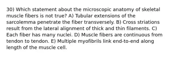 30) Which statement about the microscopic anatomy of skeletal muscle fibers is not true? A) Tubular extensions of the sarcolemma penetrate the fiber transversely. B) Cross striations result from the lateral alignment of thick and thin filaments. C) Each fiber has many nuclei. D) Muscle fibers are continuous from tendon to tendon. E) Multiple myofibrils link end-to-end along length of the muscle cell.