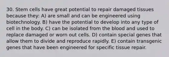 30. Stem cells have great potential to repair damaged tissues because they: A) are small and can be engineered using biotechnology. B) have the potential to develop into any type of cell in the body. C) can be isolated from <a href='https://www.questionai.com/knowledge/k7oXMfj7lk-the-blood' class='anchor-knowledge'>the blood</a> and used to replace damaged or worn out cells. D) contain special genes that allow them to divide and reproduce rapidly. E) contain transgenic genes that have been engineered for specific tissue repair.