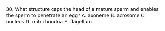 30. What structure caps the head of a mature sperm and enables the sperm to penetrate an egg? A. axoneme B. acrosome C. nucleus D. mitochondria E. flagellum