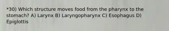 *30) Which structure moves food from the pharynx to the stomach? A) Larynx B) Laryngopharynx C) Esophagus D) Epiglottis