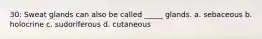 30: Sweat glands can also be called _____ glands. a. sebaceous b. holocrine c. sudoriferous d. cutaneous