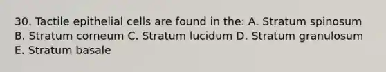 30. Tactile epithelial cells are found in the: A. Stratum spinosum B. Stratum corneum C. Stratum lucidum D. Stratum granulosum E. Stratum basale