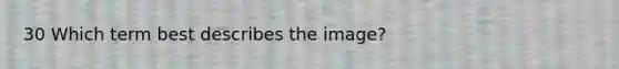30 Which term best describes the image?
