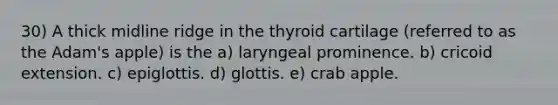 30) A thick midline ridge in the thyroid cartilage (referred to as the Adam's apple) is the a) laryngeal prominence. b) cricoid extension. c) epiglottis. d) glottis. e) crab apple.