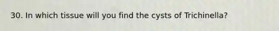 30. In which tissue will you find the cysts of Trichinella?